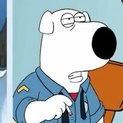 burrinhu's profile picture. 