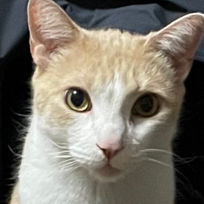 35Merissa's profile picture. America FIRST 🇺🇸