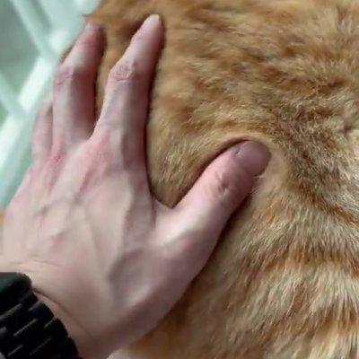 dstthescnd's profile picture. 