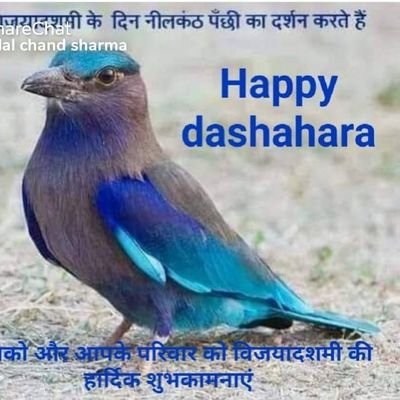SurenSaral's profile picture. खुशी आफैं भित्र रहेछ बुझ्न ढिला भयो।