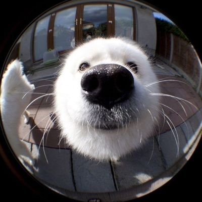 @Mochisocute96