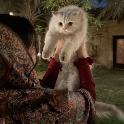 jaz_66r's profile picture. في الركُن البعيد الهآدي.