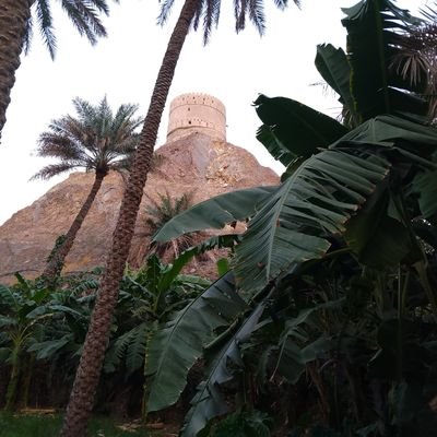 سلطنةعمان
اللهم إحفظها أمنة مطمئنة تنعم بالرخى والإستقرار وإحفظ شعبها من كل مكروه.