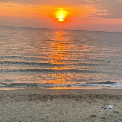 pedrobit_'s profile picture. God I fucking love crypto #bitcoin