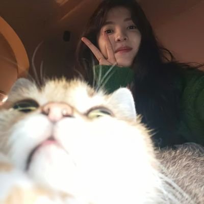 haeforsure's profile picture. living life to the fullest 💌