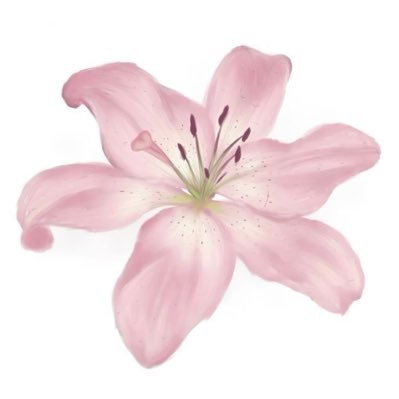 puppophile's profile picture. meow meow meow