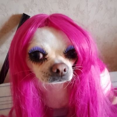 LevLedi's profile picture. ♌💜💜
.ᴖ◡ᴖ.   •ᴗ•   -ㅅ-   ^♡^    •᷄ɞ•᷅   ^▭^   OJO