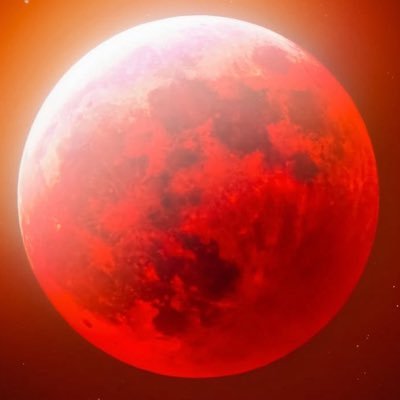 xensy's profile picture. always welcome