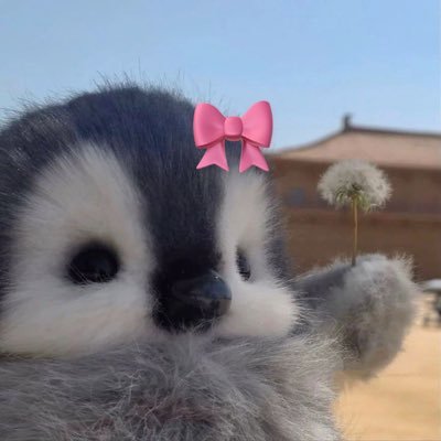 User2000322049's profile picture. 
