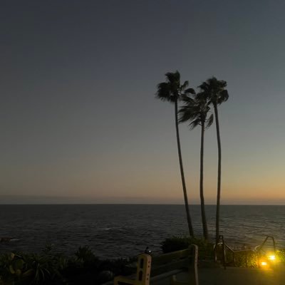 zzb1396577's profile picture. 