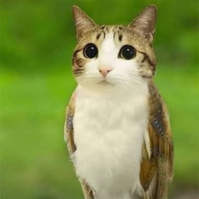 emogangster77's profile picture. 