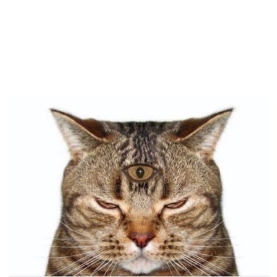 NUMB3R_1_ANG3L's profile picture. sugar honey sexy baby