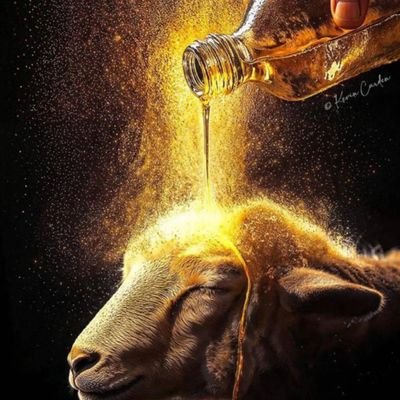 JacobJBabaBles1's profile picture. I'm unique