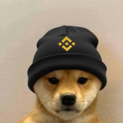 dogwifhatbnb's profile picture. The dog has a hat on, a Binance one
