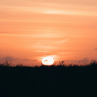 CorbinMcdo84274's profile picture. Currently building AI solutions for healthcare. I'm liberal and resilient and innovative, with a passion for real estate investing, fishing.