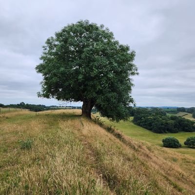 Suz_Snowden's profile picture. #Environment #Localhistory #Cleanair #Genealogy #Heritage
Director @MessageConsultg   🇬🇧 🇨🇦🌾 # Agriculture #Alberta