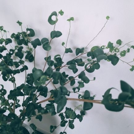 mayu_book_5's profile picture. とにもかくにも本が好き
常に心躍る一冊を探しています
買って読んで感想を書く日々のこと*.゜。:+*.
文庫新刊を楽しみに生きています