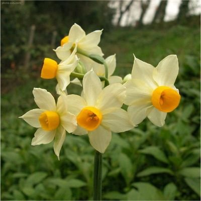 FSadqy8834's profile picture. 