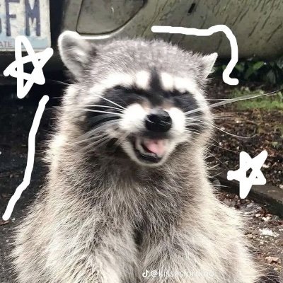 raccoonluvr257's profile picture. jaybe…. or jaybe not