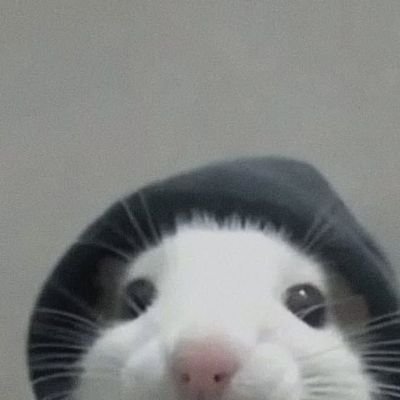 lorevv__'s profile picture. 💓