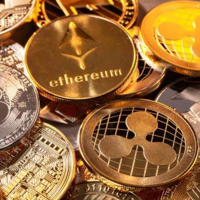 yaylaguzelims's profile picture.