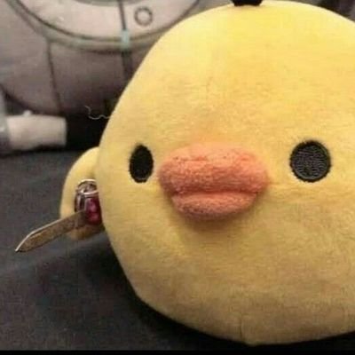 lolaさんのプロフィール画像