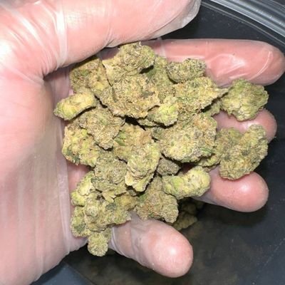 snow_drop_lean's profile picture. everything is here text me on Snapchat 
https://t.co/XKFJklkFOS