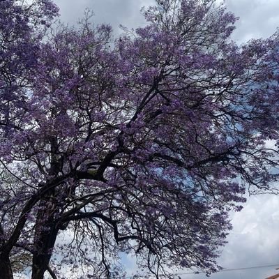Orichimuro's profile picture. Live in the moment ✨️
