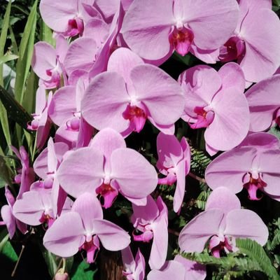 ReKitakami's profile picture. 🇯🇵×🇵🇱🇪🇺
架空国家界隈の住人
かなりの反露