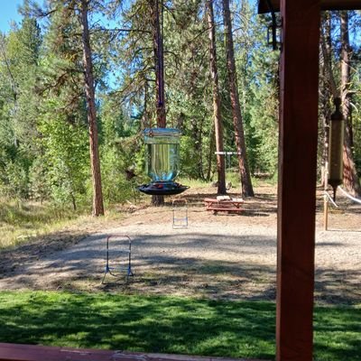 ScottFisch4's profile picture. Just browsing