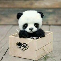 Athewz's profile picture. Architecting future infra & driving ROI with blockchain solutions for enterprise 🔗 | Translating Web3 for corporate adoption 📊