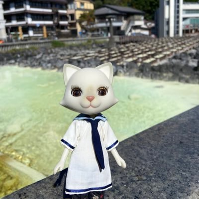 yusei04's profile picture. 好きなもの：動物(特に猫)、天文、doll、鉱物、やきう、ミセス推し🍏 アイコンのお人形はおでこちゃんとニッキのニッキです。自分へのご褒美メモ📝 #美味しいもの日記 飼い猫の闘病メモ  #猫の糖尿病