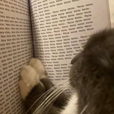 NaveenDark1's profile picture. Cinema 🛐, Melanophile