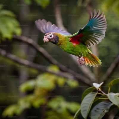 GYasin565129's profile picture. 