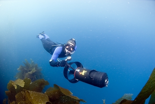 SCUBA (Cold water), ‘yaker (ocean), reader (Evo-bio-SF). Marine bio BA, segue to BSN & MSN educ. Espresso. Single-malt, neat. Enthusiastic! She/her.