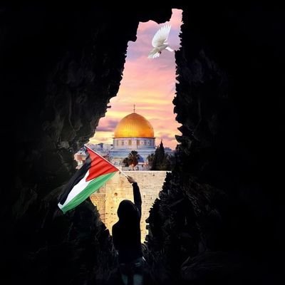 إِنَّ اللَّهَ يَغْفِرُ الذُّنُوبَ جَمِيعًا ۚ إِنَّهُ هُوَ الْغَفُورُ الرَّحِيمُ❤️
No time for fake people