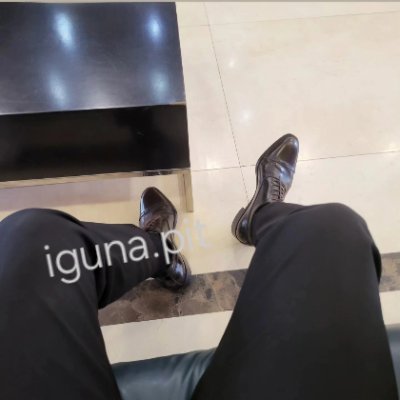 iguna_pit's profile picture. 愿乘风归去，逍遥天地间 #MAP #HAN #182
