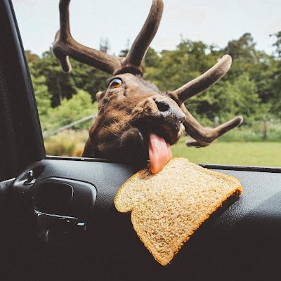 outsider_earth's profile picture. 
