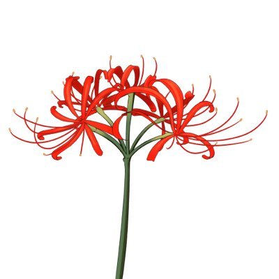 higan07_'s profile picture. 