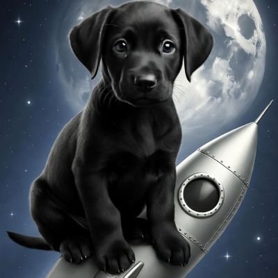 pocrypt25's profile picture. The Crypto sniper #web3