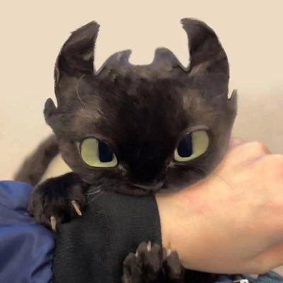 ahrmansk's profile picture. 