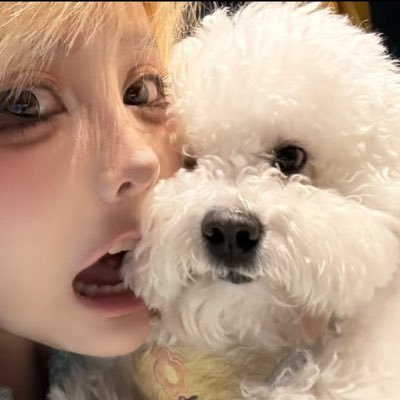 @lvzi_sama