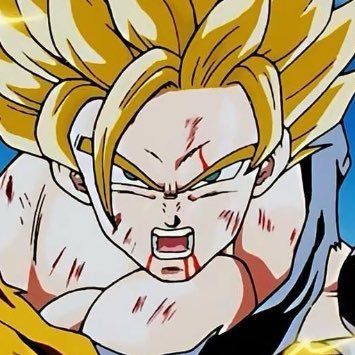 KatenzeOmaeha_'s profile picture. DRAGONBALLが大好きな16歳の高校2年生。相方:@apple_hatoringo @wsZ49m