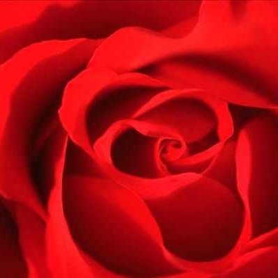 ytr278491483787's profile picture. 