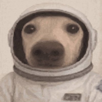 hashdawg_'s profile picture. they see the result, not the grind.