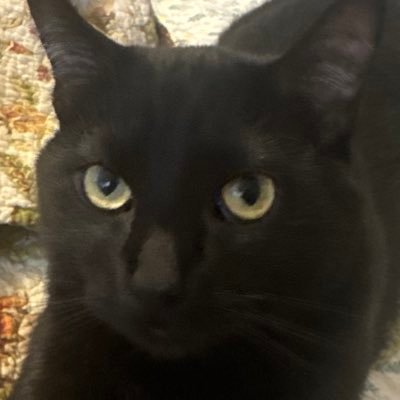 MM__206's profile picture. 