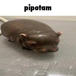 𝐧𝐚𝐳 ⋆˙⟡ 🕯️さんのプロフィール画像