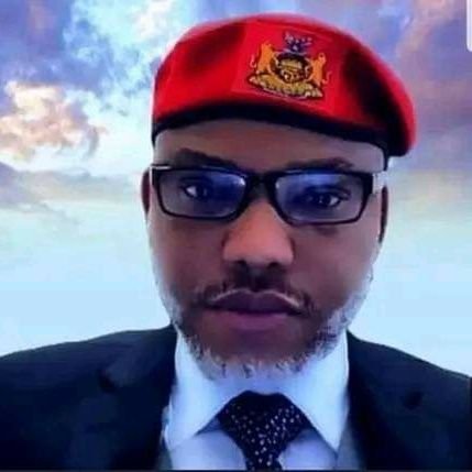 Edediaso1's profile picture. kill fear before fear kills you.