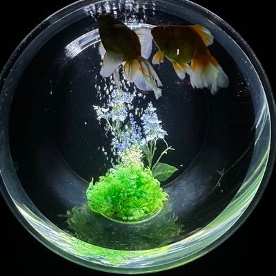 ミブロさんのプロフィール画像