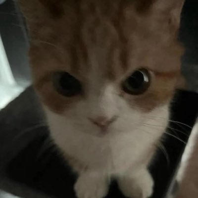 are_ryuok's profile picture. 